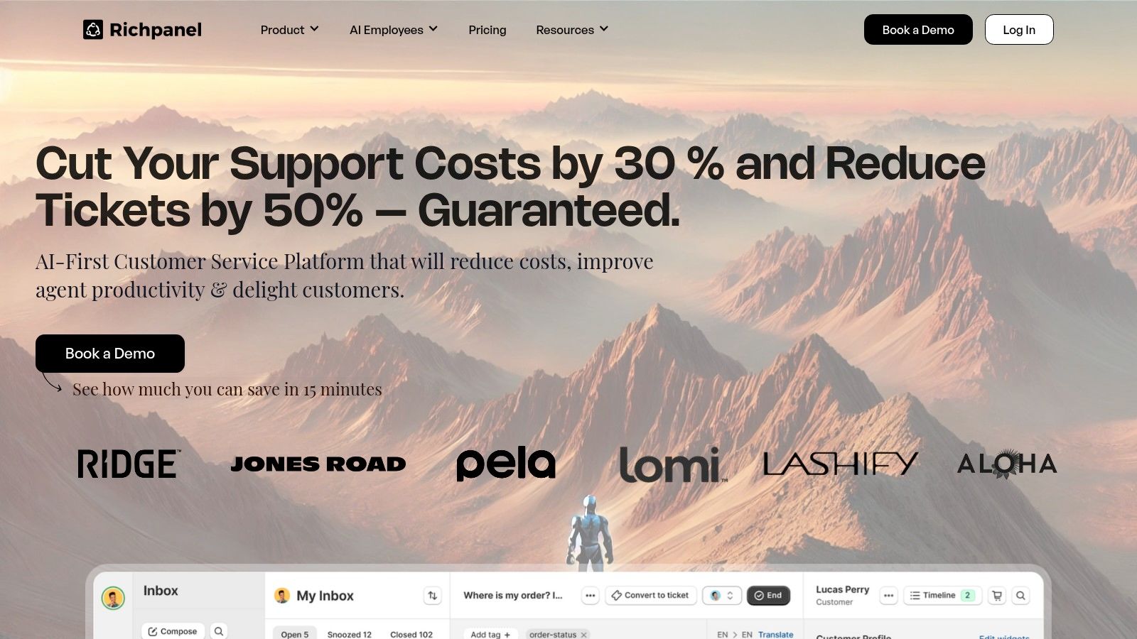 DelightChat homepage, the product's own description of its help desk